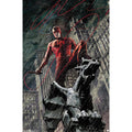Marvel Comics Daredevil - Hell's Kitchen Devil Wall Poster, 19L x 13W, Premium Unframed Version